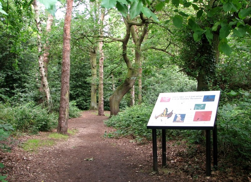 Lion Wood (Norwich) Telegraph Lane Entrance